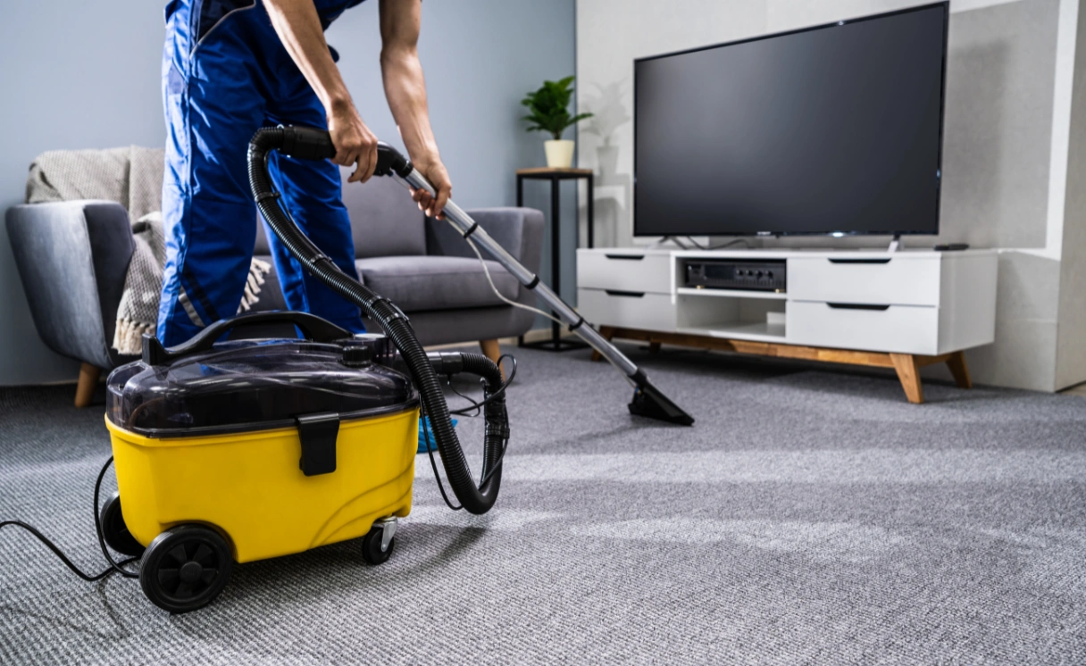 Extract Carpet Cleaning Lyndhurst Contact Office
